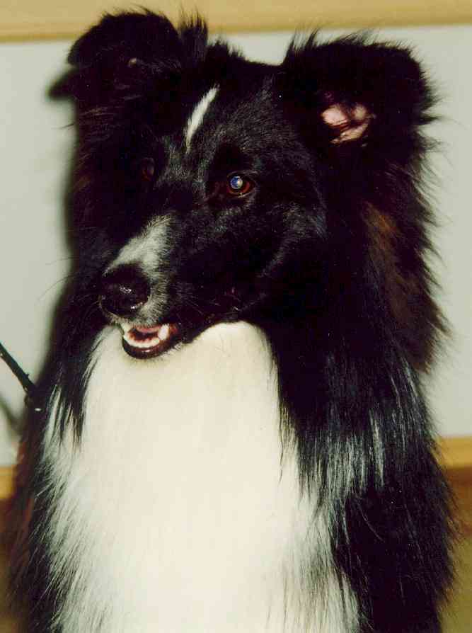 Tino - 10 months