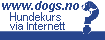 R�dgivning i hundesp�rsm�l