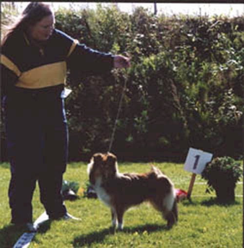 Tove and Sandie visiting Sweden in September 2000 - Best Junior bitch with Res.CC