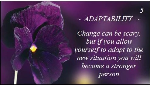 adaptability
