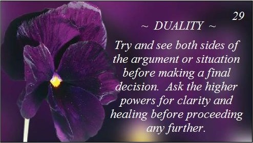 duality