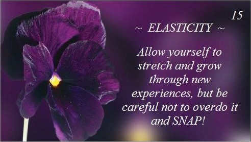 elasticity