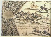 Carne de Cavalo