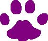 Blog Tigre