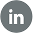 LinkedIn Icon