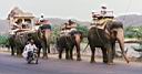 c50-05_ElephantsOnRd.jpg