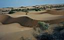 c53-34_SandDunes.jpg