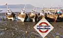 c70-01_DryDockboats.jpg