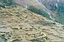 c58-21_VillageOnSideOfHill.jpg
