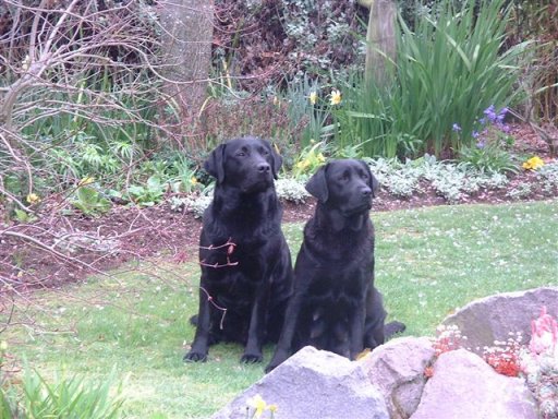 Moses and Xena