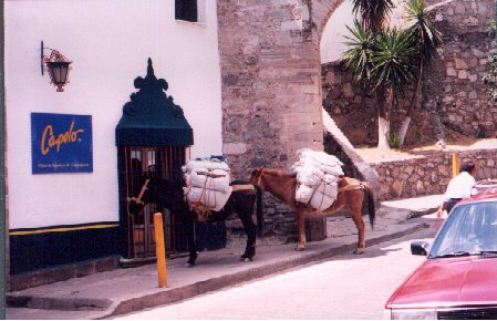 Burros
