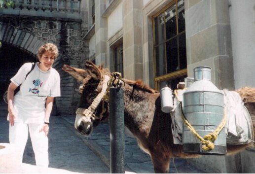 Burros carring milk