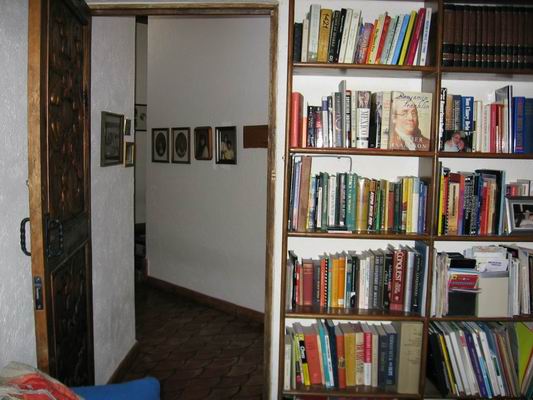 Built-in Bookshelves