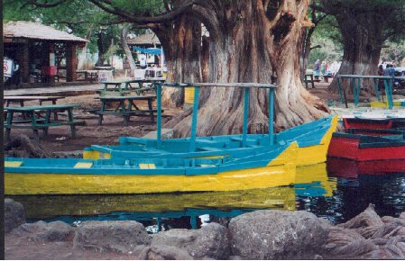 Rowboats