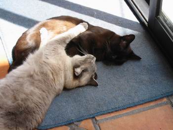 Charro & Bridget