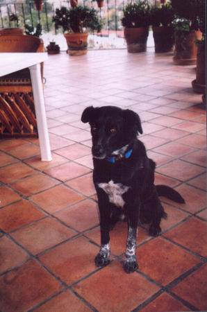 Samantha