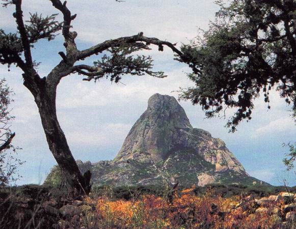 La Roca