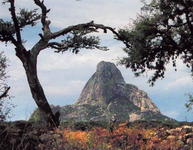 La Roca