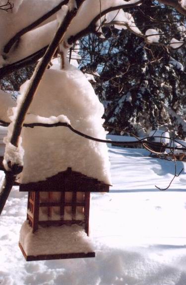 A Bit of Snow