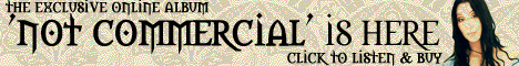 notcommercialbanner.jpg (60026 bytes)
