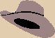cowboy hat