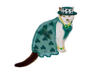 Leslie Anne's St. Patrick's Day Outfit