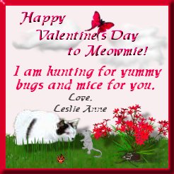 Leslie Anne's Valentine