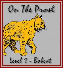 Level 1 - Bobcat