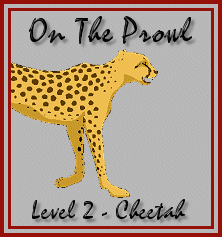 Level 2 - Cheetah