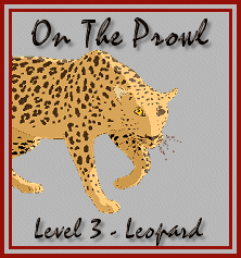 Level 3 - Leopard