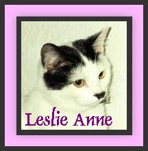 Leslie Anne