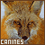 Canines