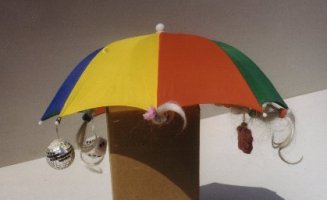 Rainbow Hat-scene cut from movie