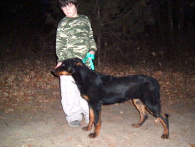 Big brother Remy is teaching me how to be a sheepdog! Click me to visit my page!