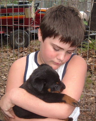 Rock a bye, puppy!