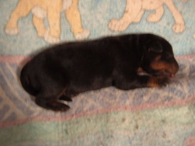 Whew! that's hard work! I'm pooped!
