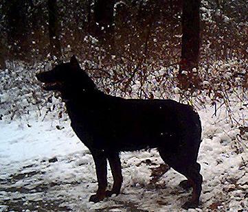 BOY, I love the snow!