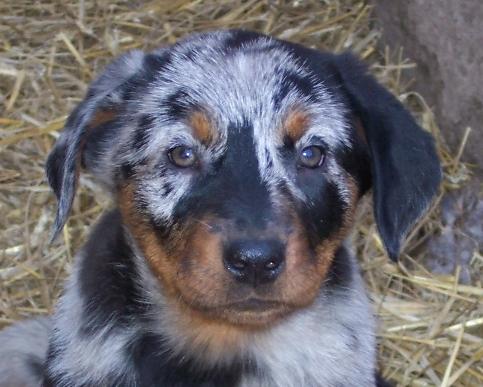 Hi! I'm Winter, the NEW baby!
