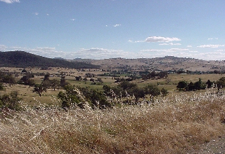 scenic shot