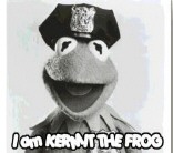 Which Muppet Are You??