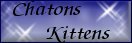 Voir mes petits tr�sors See my little treasures