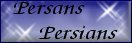 Voir mes Persans See my Persians