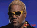 rikishi