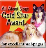 Gold Star Award