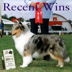 recent wins