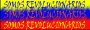Somos Revolucionarios