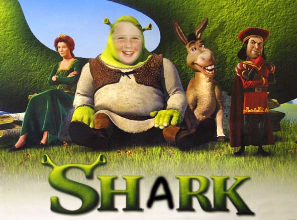 Ogres are like onions