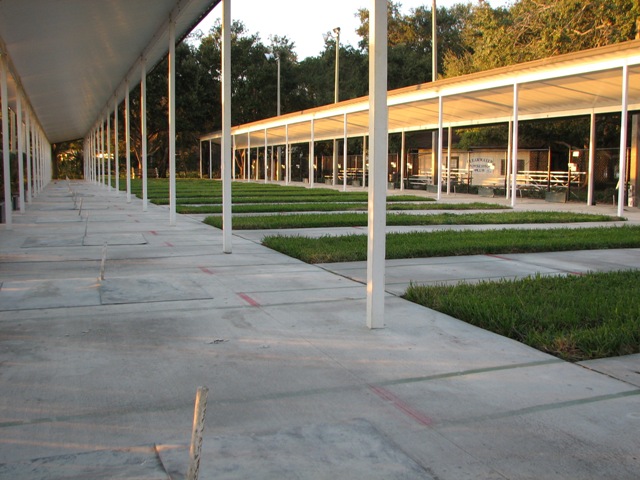 clubpic2.jpg