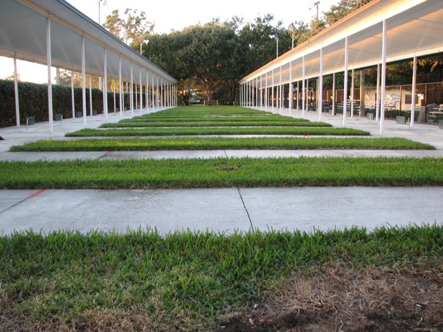 clubpic3.jpg