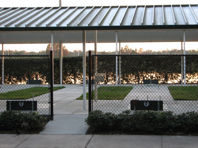 clubpic6.jpg